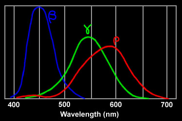 RGB cell detections