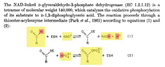 GAPDH reaction