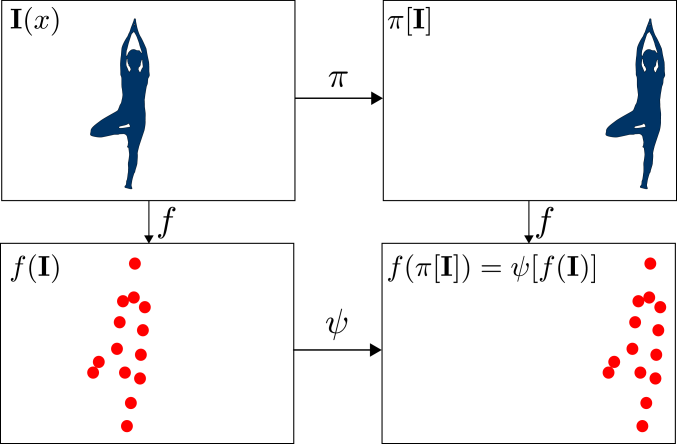 from https://towardsdatascience.com/translational-invariance-vs-translational-equivariance-f9fbc8fca63a