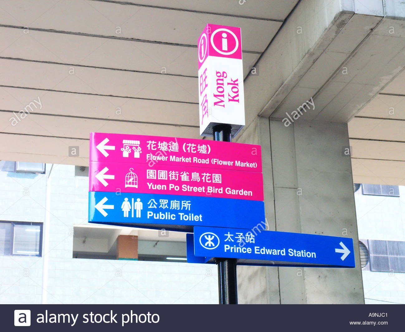 Bilingualism in Hong Kong