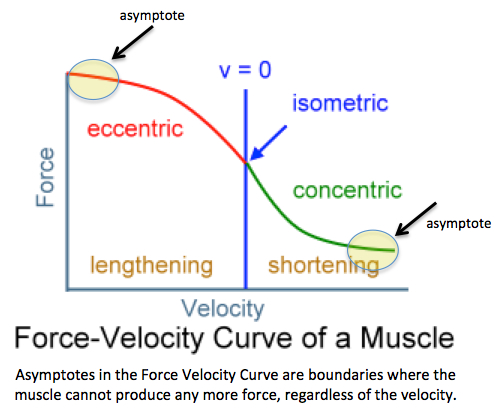 Force velocity curve