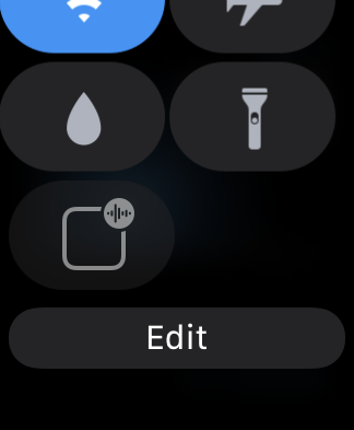 Screenshot of Control Center on Apple Watch