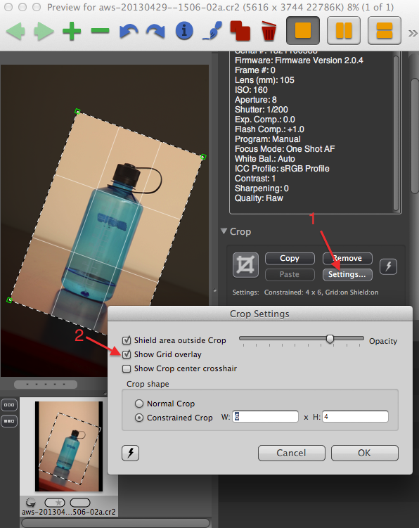 Example of crop grid in Photo Mechanic