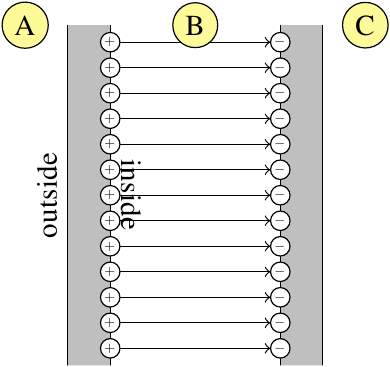 electric field from one plate to the other