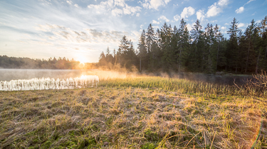 Sunrise over Étang de la gruère, Jura, Switzerland