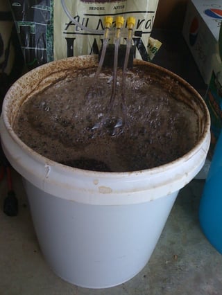 Compost Tea