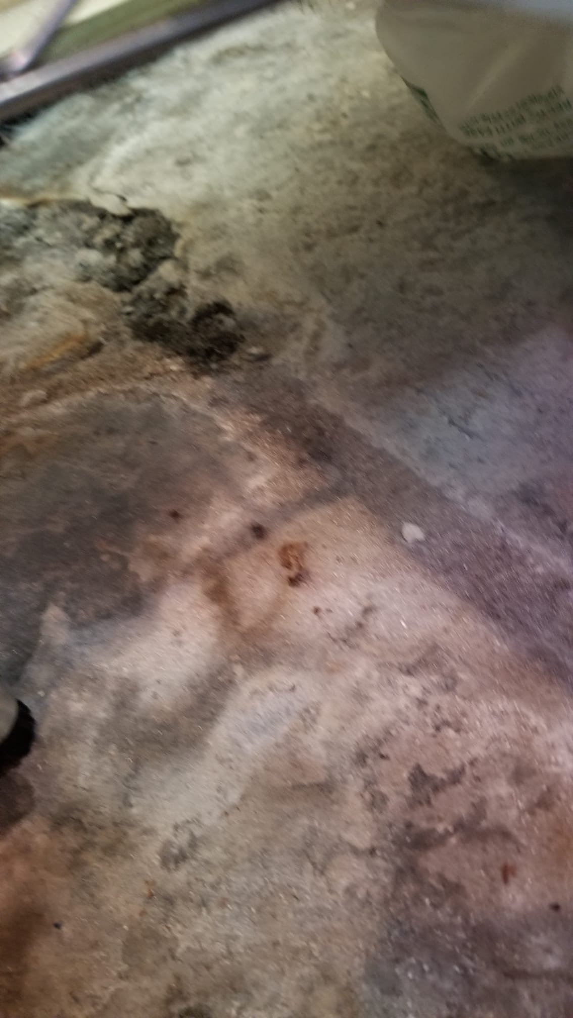 picture of cracked basement floor #3