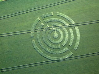 Crop Circle