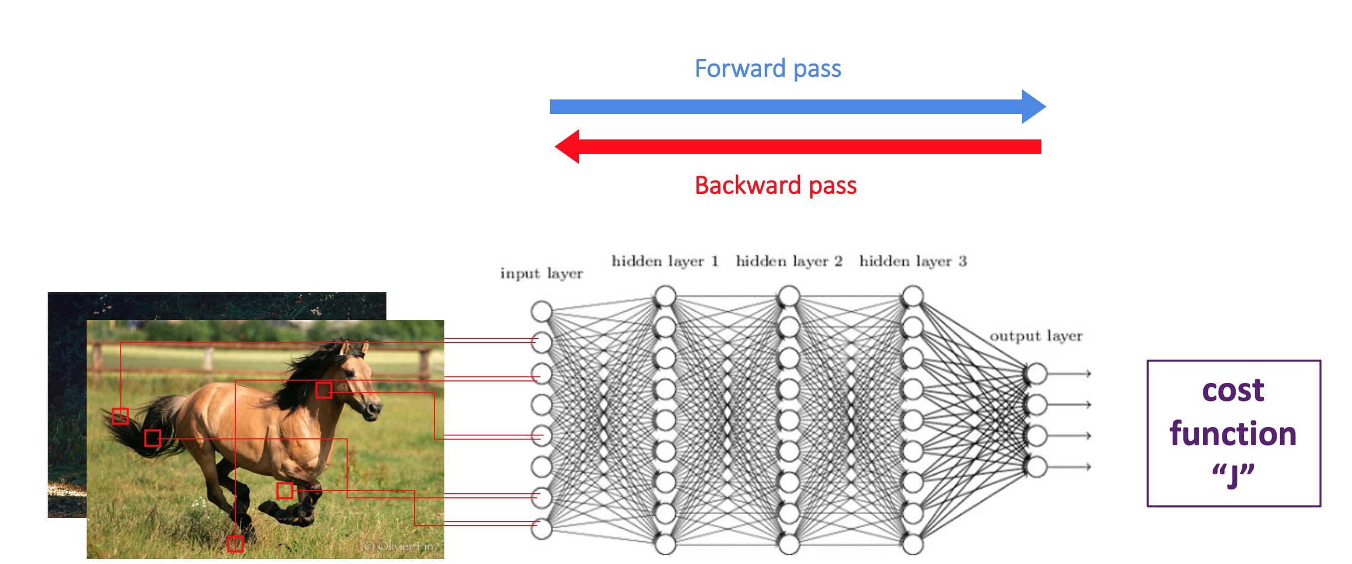 back-propagation procedure