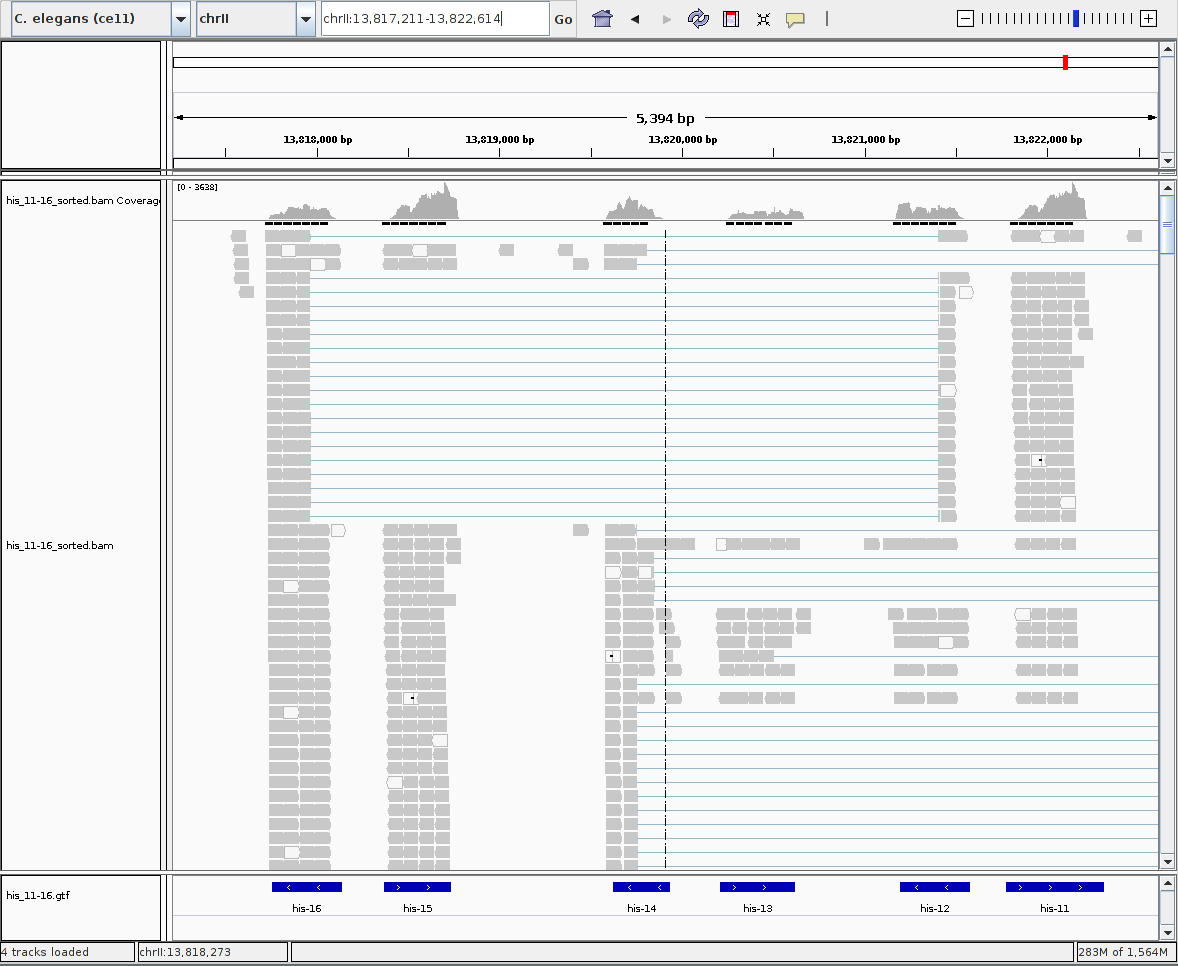 View of the his-16 -> his-12 region in IGV