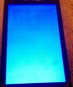 picture of OLED burn in