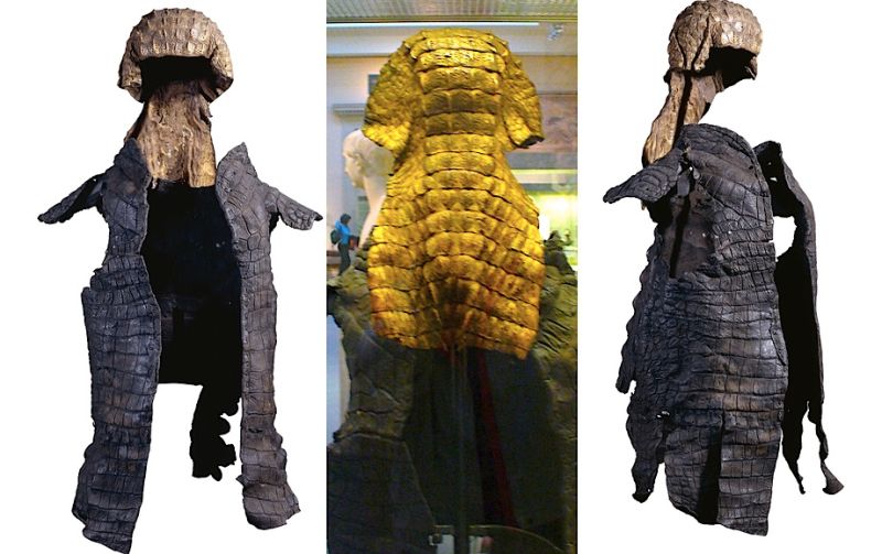 croc armor