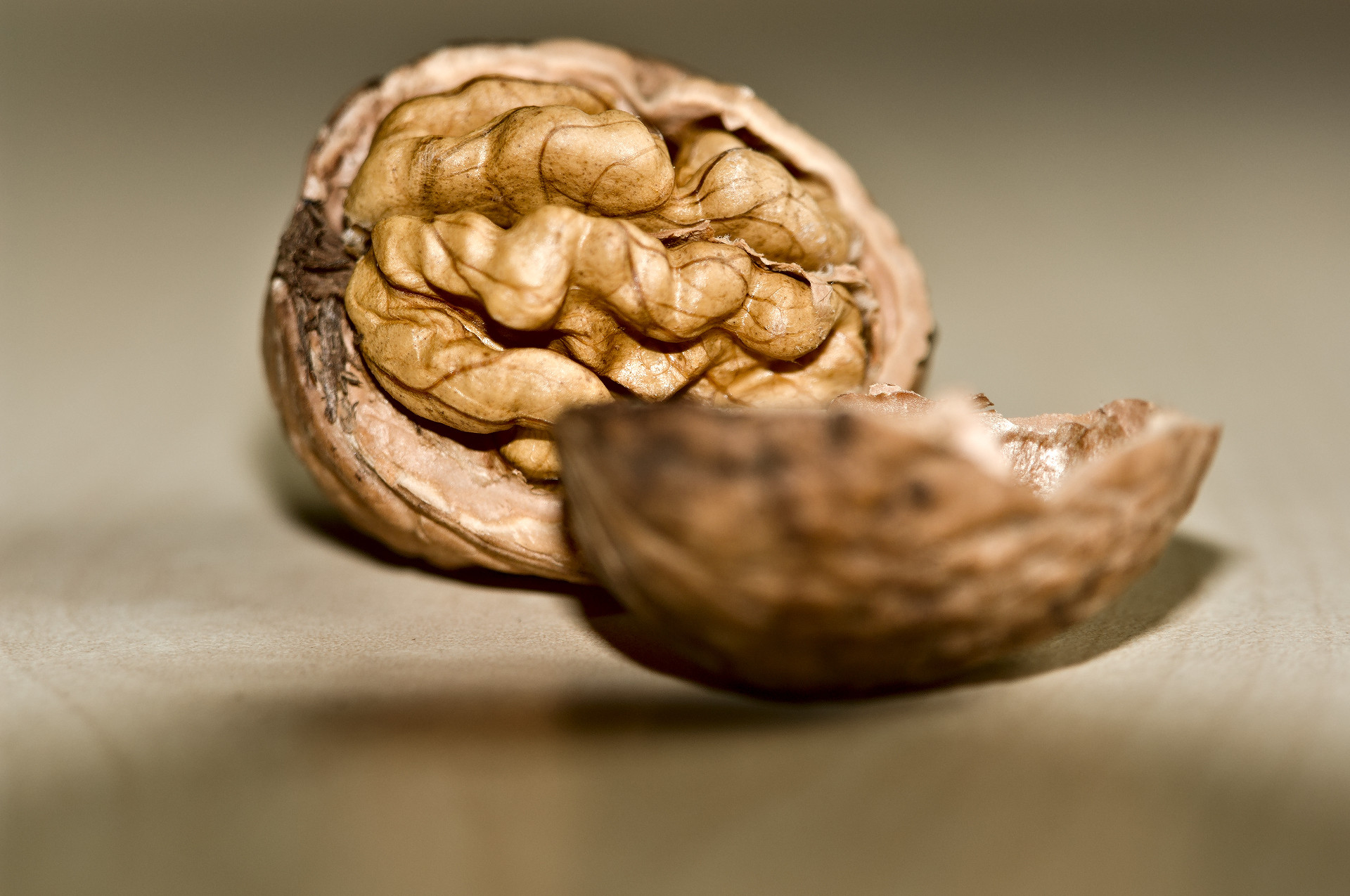 Walnut on table, narrow depth of focus with DSC-R1