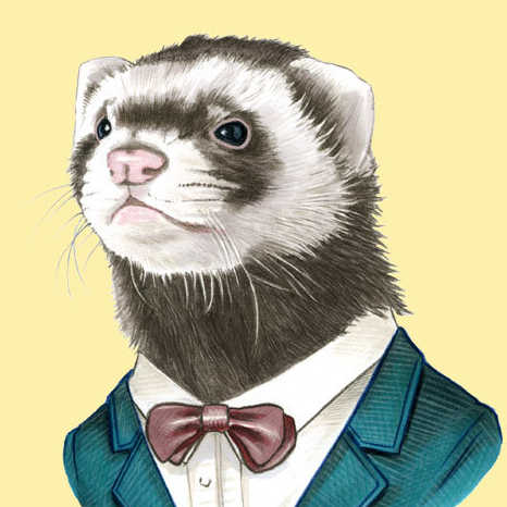 The Posh Ferret