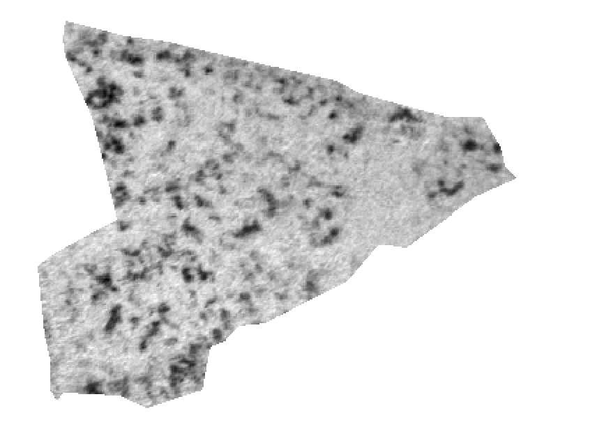 Grayscale rendering of the values in the GeoTIFF