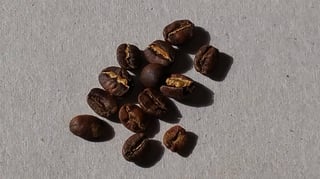 Karenge beans from Rwanda