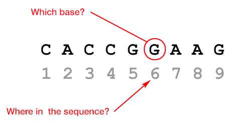 Sequencing Strategy