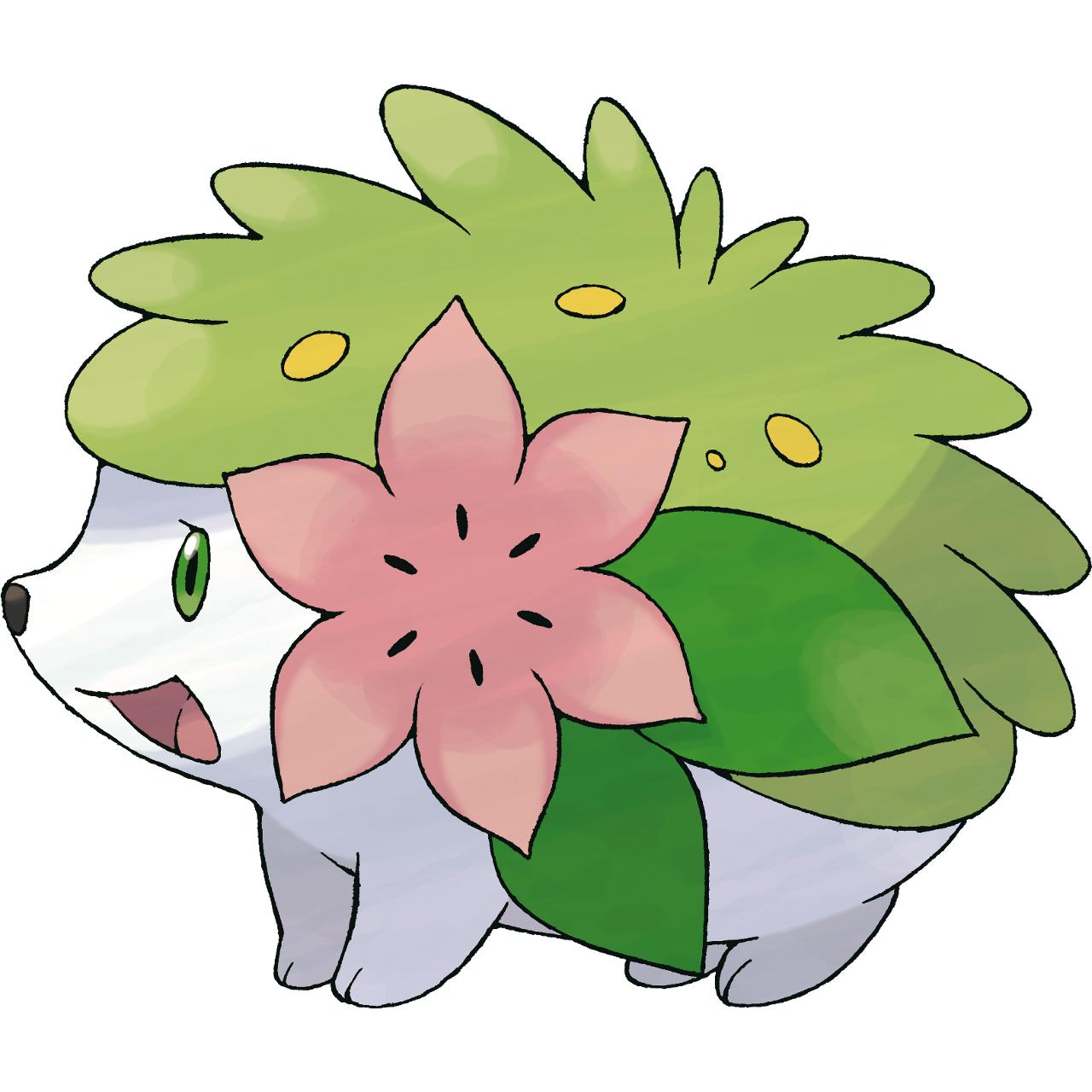 Shaymin Gratitude