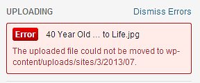 Error 40 Year Old … to Life.jpg The uploaded file could not be moved to wp-content/uploads/sites/3/2013/07.