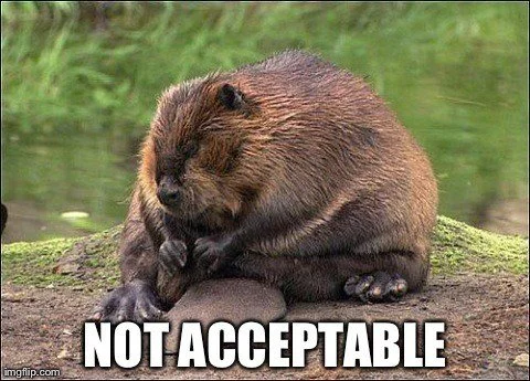 Picture of beaver with text "Not Acceptable"