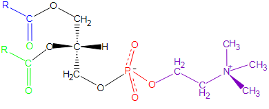 Phosphatidylcholine