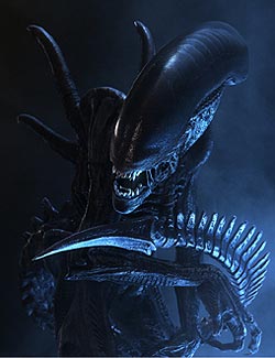 xenomorph in all its glory