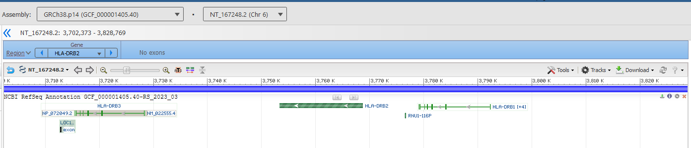 Screenshot from the NCBI Genome Data Viewer, zoomed in on human chromosome 6 from about 3700–3820 kilobases on scaffold NT_167248.2. HLA-DRB3 is shown from about 3715–3729 kilobases and HLA-DRB1 is shown from about 3779–3792kilobases