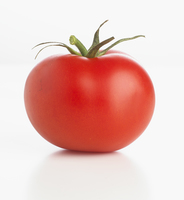 Tomato's user avatar