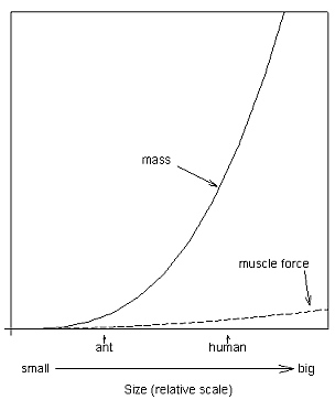 graph: mass of ant would increase exponentially if it had to be the same size as a human, but lifting power is nearly linear