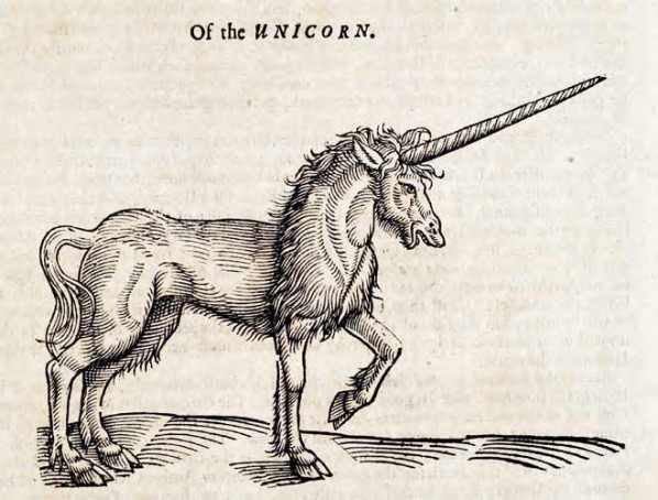 artist’s rendition of a unicorn