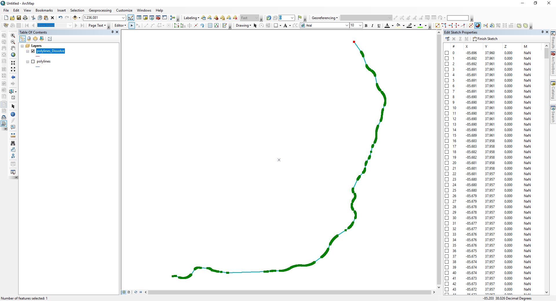 Polyline after using the Dissolve Tool