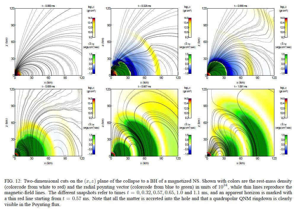 Magnetic Star Collapse