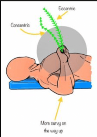 Image shows bar path of a free bar bench press