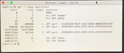 gpt -r show /dev/disk1