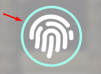 fingerprint border representation