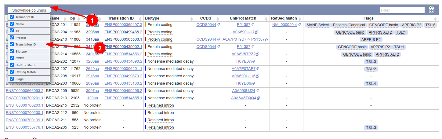 Screenshot of the Ensembl page with "Translation ID" selected