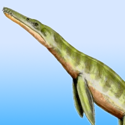 DefinitelyNotAPlesiosaur's user avatar