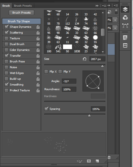 Brush Tip Shape