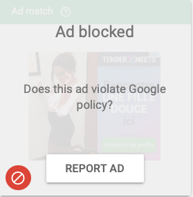 screenshot showing that the ad has been blocked