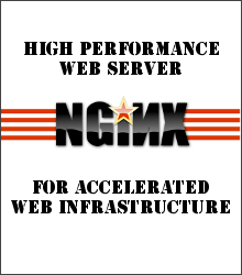 nginx: high-performance web-server for accelerated web infrastructure