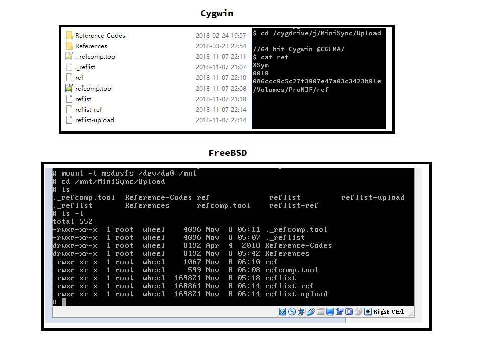 Screenshot of Windows, Cygwin, and FreeBSD directory listing