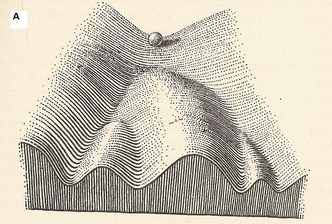 Waddington's developmental landscape