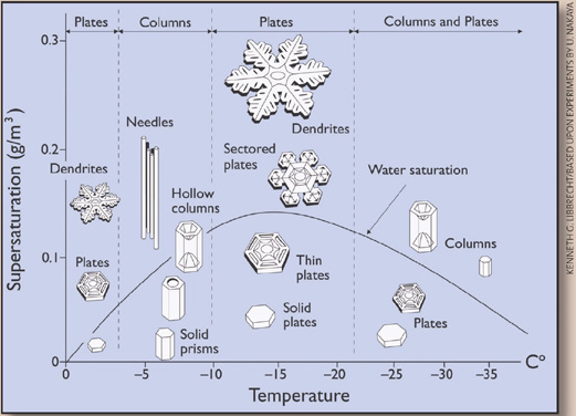 ice habits