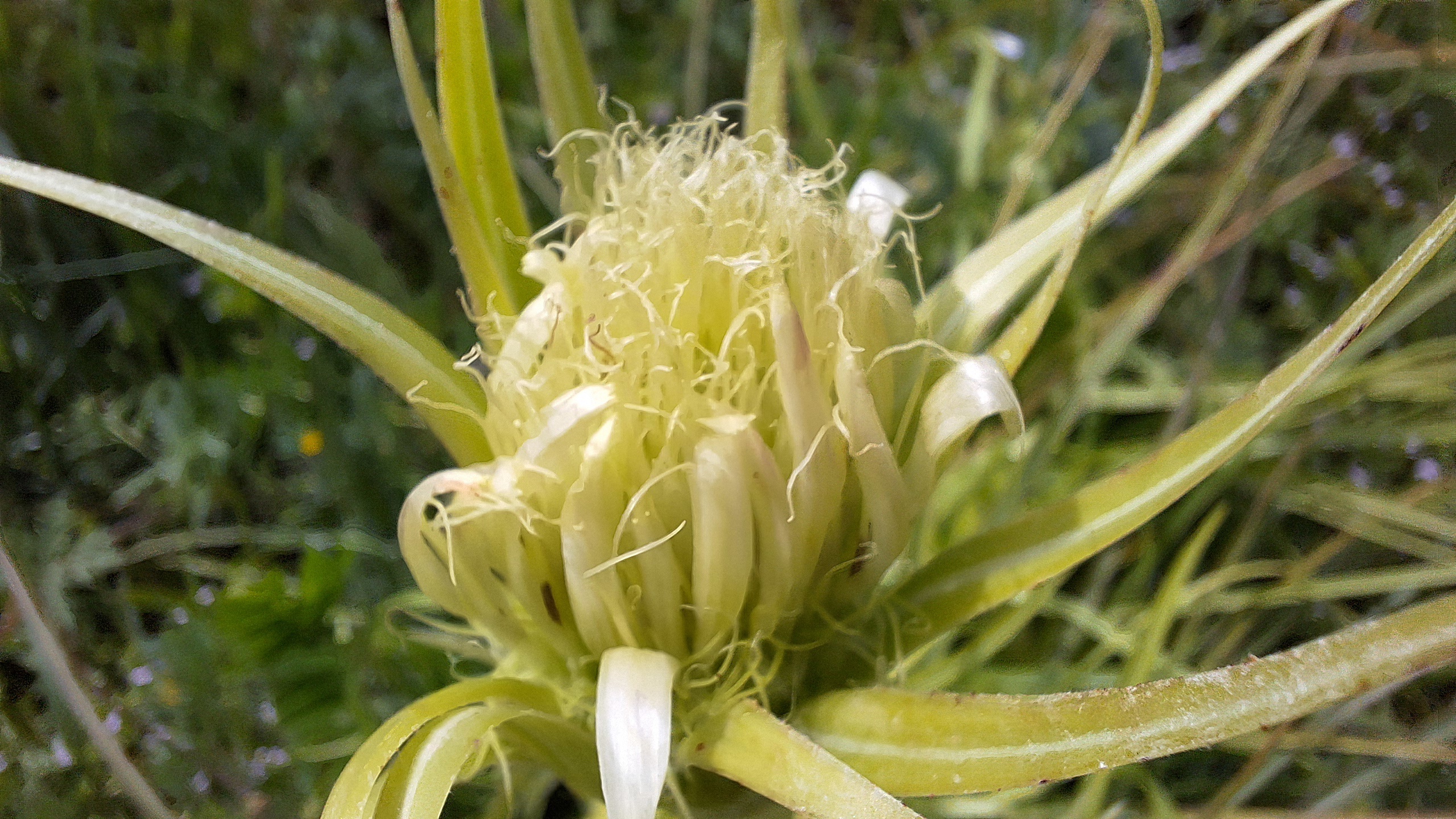 Close up of main body