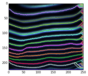 Decoded Viterbi Paths