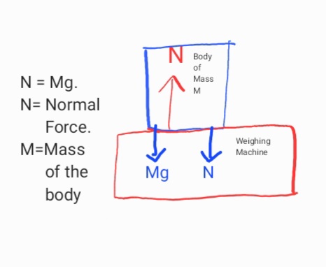 It's said that a weighing Machine( hereafter referred to as machine) measure the normal force applied by the body on the machine . But when a body is standing on machine 2 forces act simultaneously (namely the normal force and gravity) . At rest N=mg. So forces applied at the machine = 2mg (N+mg).
This is contradictory to the statement 1 . Please Explain in detail