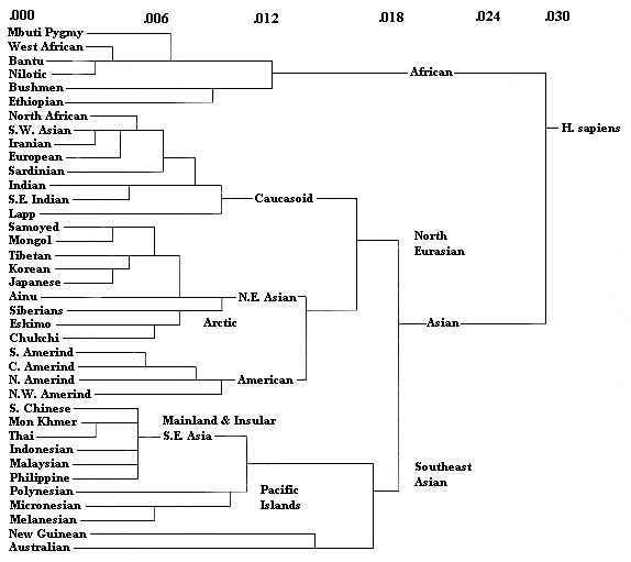 Genetic distance between different people using fixation index