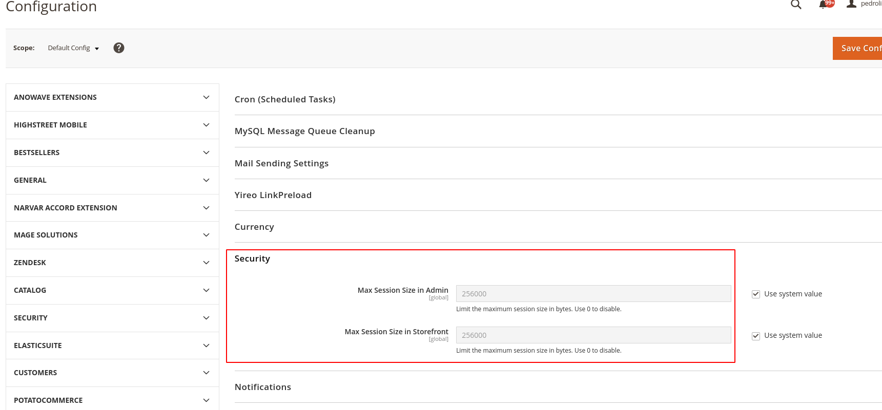 Magento 2 admin user session