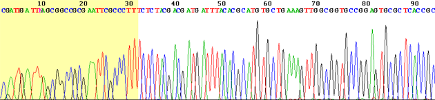 Chromatogram Trace Example