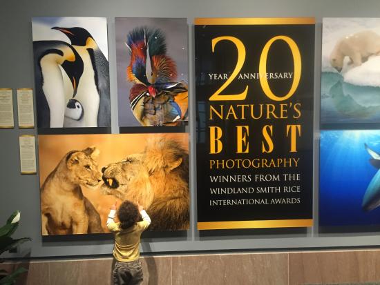 This photo of Smithsonian National Museum of Natural History is courtesy of TripAdvisor